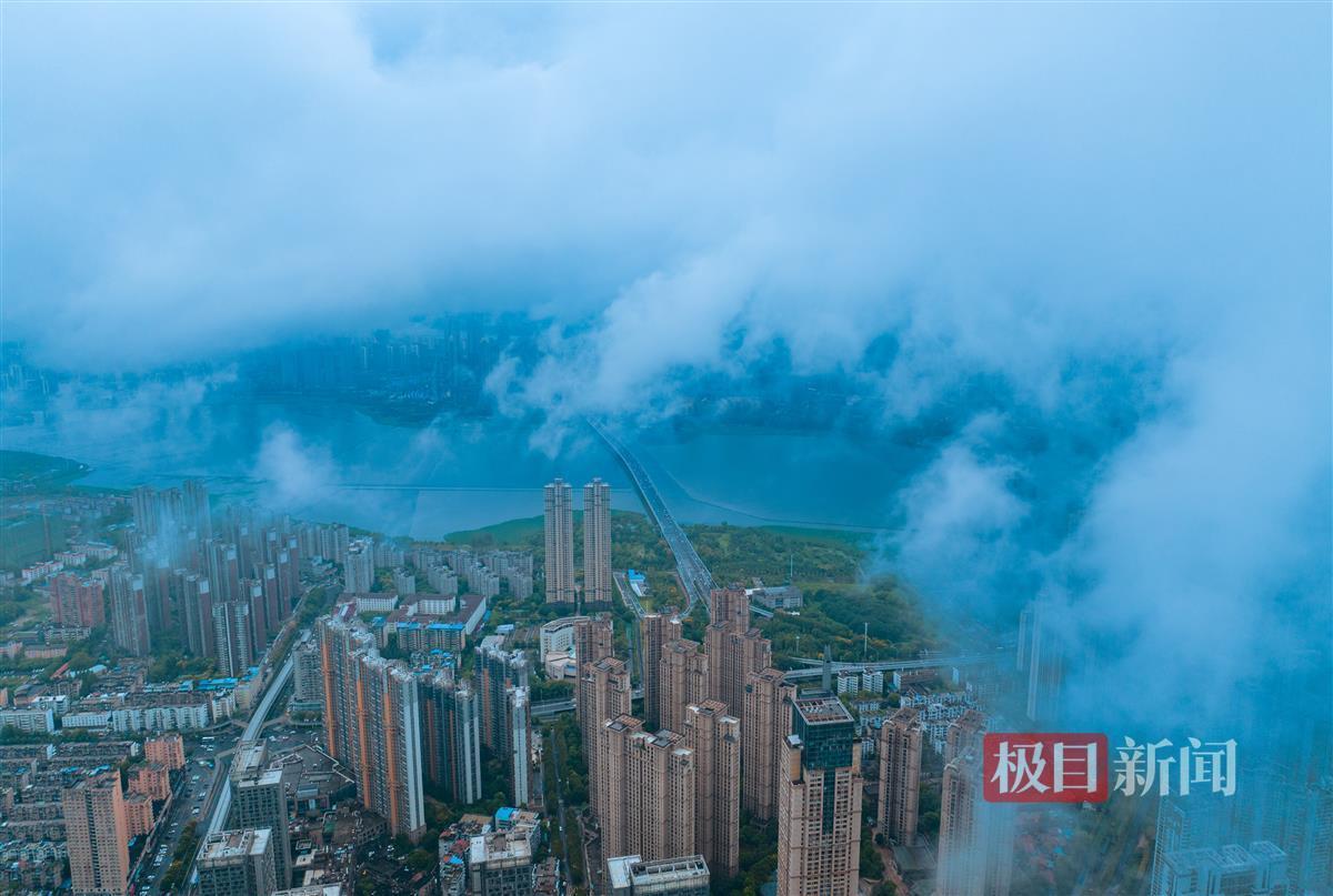 棒坛万人在线交流社区
